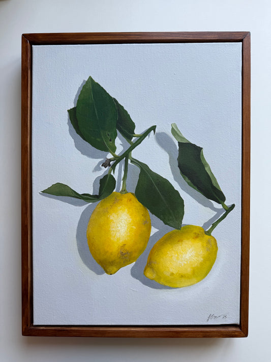 ‘When life gives you Lemons’  - Original Framed Artwork