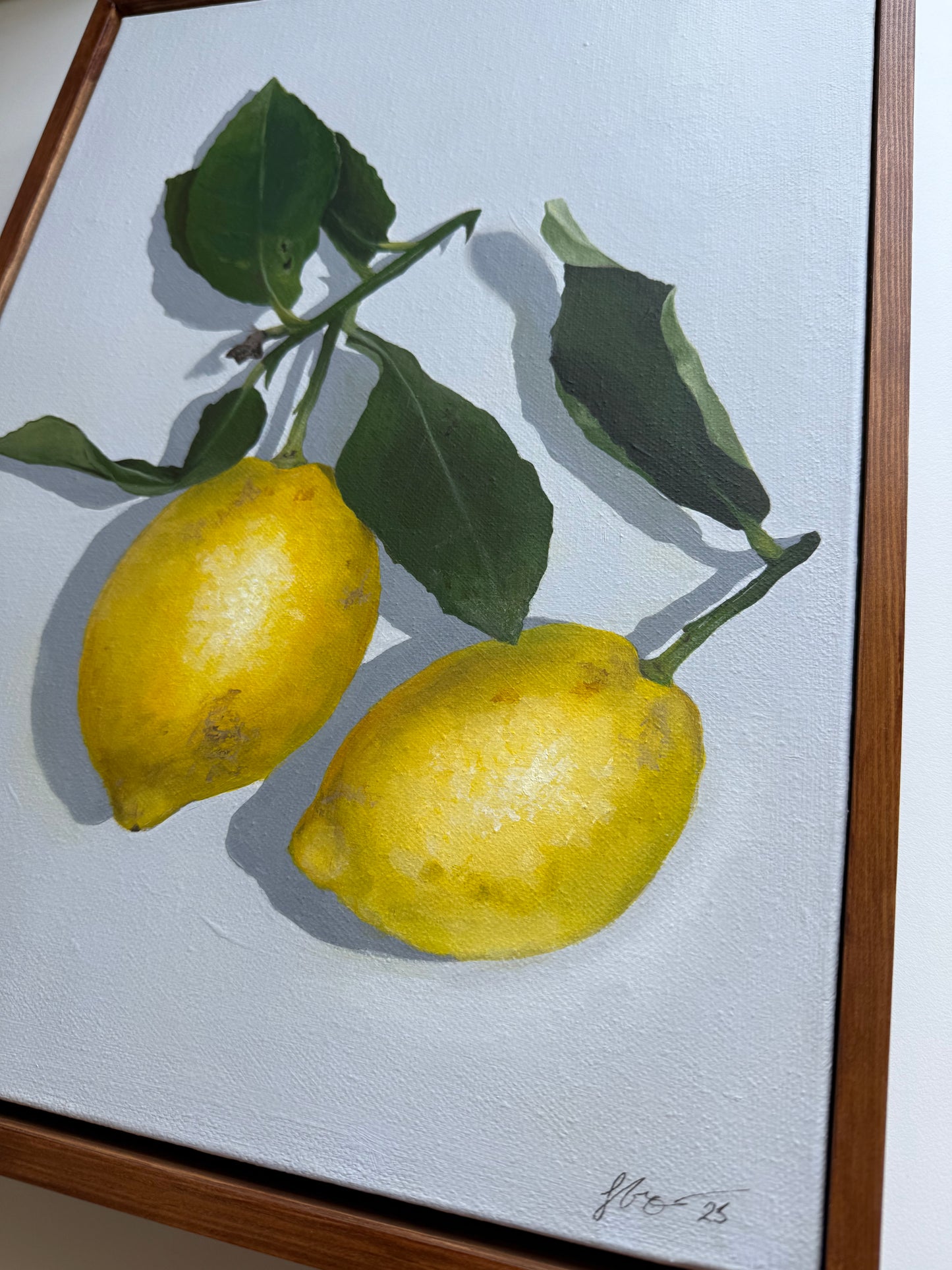 ‘When life gives you Lemons’  - Original Framed Artwork
